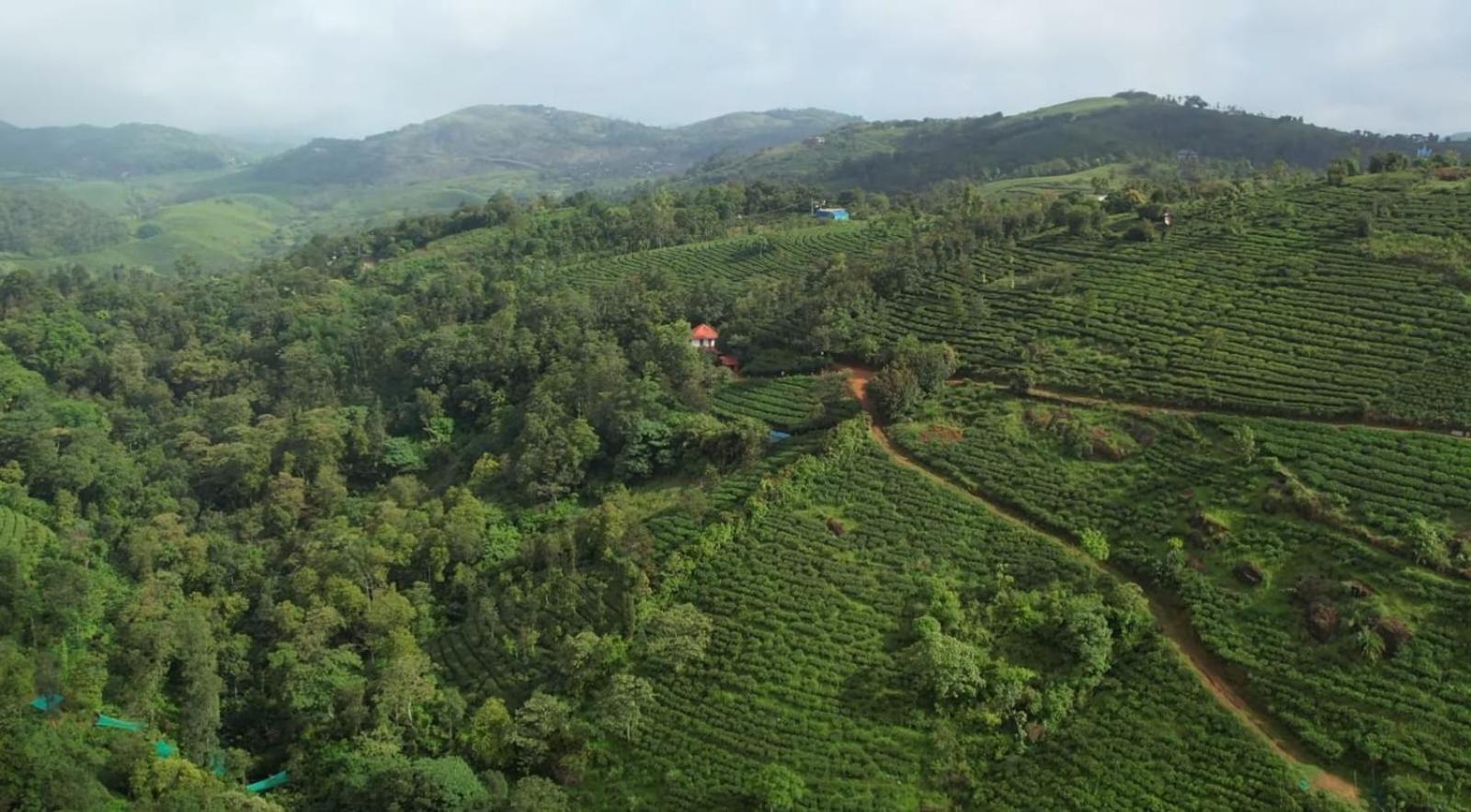 Tea Haven By Yathroam Vagamon Exterior foto
